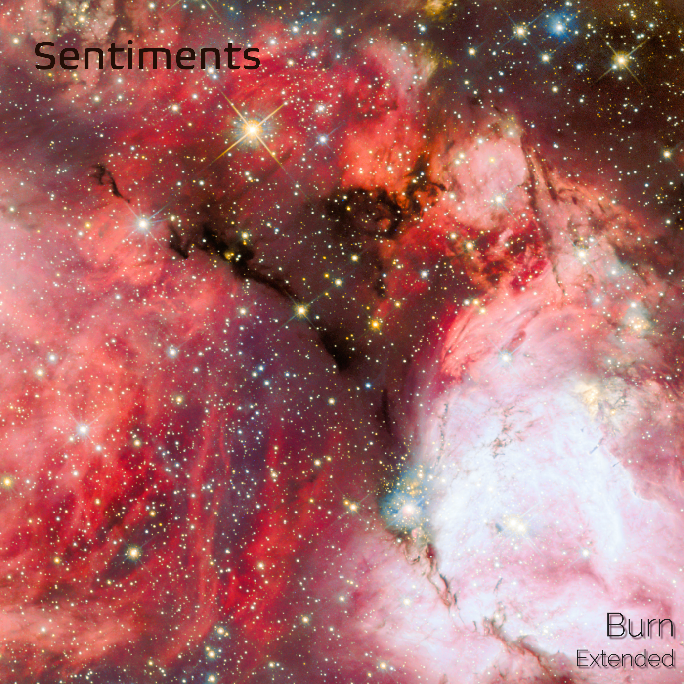 Burn Extended Version artwork